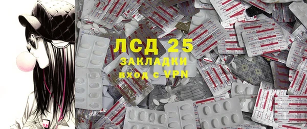 ПСИЛОЦИБИНОВЫЕ ГРИБЫ Арсеньев